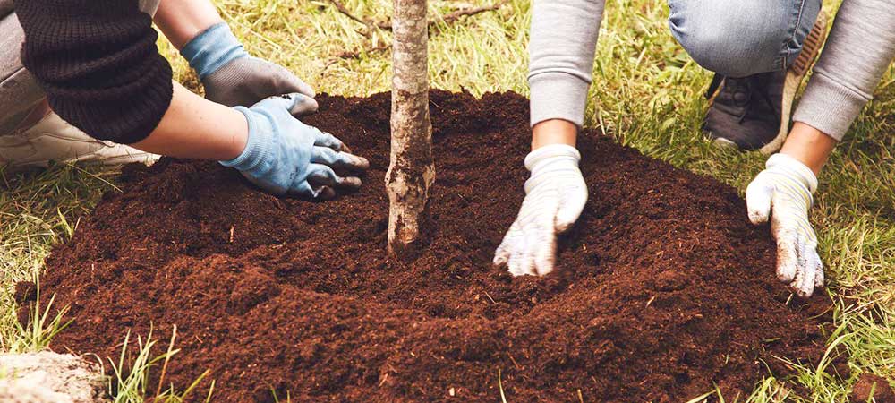 vallas Sevilla, vallas Granada, vallas Cordoba, vallas Huelva, vallas Malaga, vallas Cadiz, vallas Almeria, vallas Jaen, vallados Sevilla, vallados Granada, vallados Cordoba, vallados Huelva, vallados Malaga, vallados Cadiz, vallados Almeria, vallados Jaen, cercas Sevilla, cercas Granada, cercas Cordoba, cercas Huelva, cercas Malaga, cercas Cadiz, cercas Almeria, cercas Jaen, cercados Sevilla, cercados Granada, cercados Cordoba, cercados Huelva, cercados Malaga, cercados Cadiz, cercados Almeria, cercados Jaen, vallas de metal Sevilla, vallas de metal Granada, vallas de metal Cordoba, vallas de metal Huelva, vallas de metal Malaga, vallas de metal Cadiz, vallas de metal Almeria, vallas de metal Jaen, vallados de metal Sevilla, vallados de metal Granada, vallados de metal Cordoba, vallados de metal Huelva, vallados de metal Malaga, vallados de metal Cadiz, vallados de metal Almeria, vallados de metal Jaen, cercas de metal Sevilla, cercas de metal Granada, cercas de metal Cordoba, cercas de metal Huelva, cercas de metal Malaga, cercas de metal Cadiz, cercas de metal Almeria, cercas de metal Jaen, cercados de metal Sevilla, cercados de metal Granada, cercados de metal Cordoba, cercados de metal Huelva, cercados de metal Malaga, cercados de metal Cadiz, cercados de metal Almeria, cercados de metal Jaen, mallas Sevilla, mallas Granada, mallas Cordoba, mallas Huelva, mallas Malaga, mallas Cadiz, mallas Almeria, mallas Jaen, simple torsion Sevilla, simple torsion Granada, simple torsion Cordoba, simple torsion Huelva, simple torsion Malaga, simple torsion Cadiz, simple torsion Almeria, simple torsion Jaen, doble torsion Sevilla, doble torsion Granada, doble torsion Cordoba, doble torsion Huelva, doble torsion Malaga, doble torsion Cadiz, doble torsion Almeria, doble torsion Jaen, triple torsion Sevilla, triple torsion Granada, triple torsion Cordoba, triple torsion Huelva, triple torsion Malaga, triple torsion Cadiz, triple torsion Almeria, triple torsion Jaen, malla ganadera Sevilla, malla ganadera Granada, malla ganadera Cordoba, malla ganadera Huelva, malla ganadera Malaga, malla ganadera Cadiz, malla ganadera Almeria, malla ganadera Jaen, malla escolar Sevilla, malla escolar Granada, malla escolar Cordoba, malla escolar Huelva, malla escolar Malaga, malla escolar Cadiz, malla escolar Almeria, malla escolar Jaen, malla hercules Sevilla, malla hercules Granada, malla hercules Cordoba, malla hercules Huelva, malla hercules Malaga, malla hercules Cadiz, malla hercules Almeria, malla hercules Jaen, muros gaviones Sevilla, muros gaviones Granada, muros gaviones Cordoba, muros gaviones Huelva, muros gaviones Malaga, muros gaviones Cadiz, muros gaviones Almeria, muros gaviones Jaen, mallas taludes Sevilla, mallas taludes Granada, mallas taludes Cordoba, mallas taludes Huelva, mallas taludes Malaga, mallas taludes Cadiz, mallas taludes Almeria, mallas taludes Jaen, jardineria Sevilla, jardineria Granada, jardineria Cordoba, jardineria Huelva, jardineria Malaga, jardineria Cadiz, jardineria Almeria, jardineria Jaen, plantacion de arboles Sevilla, plantacion de arboles Granada, plantacion de arboles Cordoba, plantacion de arboles Huelva, plantacion de arboles Malaga, plantacion de arboles Cadiz, plantacion de arboles Almeria, plantacion de arboles Jaen, plantacion de arbustos Sevilla, plantacion de arbustos Granada, plantacion de arbustos Cordoba, plantacion de arbustos Huelva, plantacion de arbustos Malaga, plantacion de arbustos Cadiz, plantacion de arbustos Almeria, plantacion de arbustos Jaen, reforestacion Sevilla, reforestacion Granada, reforestacion Cordoba, reforestacion Huelva, reforestacion Malaga, reforestacion Cadiz, reforestacion Almeria, reforestacion Jaen, vallas colegios Sevilla, vallas colegios Granada, vallas colegios Cordoba, vallas colegios Huelva, vallas colegios Malaga, vallas colegios Cadiz, vallas colegios Almeria, vallas colegios Jaen, vallas escolares Sevilla, vallas escolares Granada, vallas escolares Cordoba, vallas escolares Huelva, vallas escolares Malaga, vallas escolares Cadiz, vallas escolares Almeria, vallas escolares Jaen, vallas ganaderia Sevilla, vallas ganaderia Granada, vallas ganaderia Cordoba, vallas ganaderia Huelva, vallas ganaderia Malaga, vallas ganaderia Cadiz, vallas ganaderia Almeria, vallas ganaderia Jaen, vallas hercules Sevilla, vallas hercules Granada, vallas hercules Cordoba, vallas hercules Huelva, vallas hercules Malaga, vallas hercules Cadiz, vallas hercules Almeria, vallas hercules Jaen, proteccion carreteras Sevilla, proteccion carreteras Granada, proteccion carreteras Cordoba, proteccion carreteras Huelva, proteccion carreteras Malaga, proteccion carreteras Cadiz, proteccion carreteras Almeria, proteccion carreteras Jaen, vallas de proteccion Sevilla, vallas de proteccion Granada, vallas de proteccion Cordoba, vallas de proteccion Huelva, vallas de proteccion Malaga, vallas de proteccion Cadiz, vallas de proteccion Almeria, vallas de proteccion Jaen, gaviones rios Sevilla, gaviones rios Granada, gaviones rios Cordoba, gaviones rios Huelva, gaviones rios Malaga, gaviones rios Cadiz, gaviones rios Almeria, gaviones rios Jaen, gaviones carreteras Sevilla, gaviones carreteras Granada, gaviones carreteras Cordoba, gaviones carreteras Huelva, gaviones carreteras Malaga, gaviones carreteras Cadiz, gaviones carreteras Almeria, gaviones carreteras Jaen, vallados y cercados Sevilla, vallados y cercados Granada, vallados y cercados Cordoba, vallados y cercados Huelva, vallados y cercados Malaga, vallados y cercados Cadiz, vallados y cercados Almeria, vallados y cercados Jaen, plantaciones el tejo, vallados andalucia, jardineria, plantacion de arboles, cuidado de jardines, diseño de jardines, plantacion de arbustos