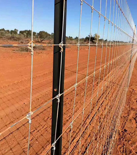 vallas Sevilla, vallas Granada, vallas Cordoba, vallas Huelva, vallas Malaga, vallas Cadiz, vallas Almeria, vallas Jaen, vallados Sevilla, vallados Granada, vallados Cordoba, vallados Huelva, vallados Malaga, vallados Cadiz, vallados Almeria, vallados Jaen, cercas Sevilla, cercas Granada, cercas Cordoba, cercas Huelva, cercas Malaga, cercas Cadiz, cercas Almeria, cercas Jaen, cercados Sevilla, cercados Granada, cercados Cordoba, cercados Huelva, cercados Malaga, cercados Cadiz, cercados Almeria, cercados Jaen, vallas de metal Sevilla, vallas de metal Granada, vallas de metal Cordoba, vallas de metal Huelva, vallas de metal Malaga, vallas de metal Cadiz, vallas de metal Almeria, vallas de metal Jaen, vallados de metal Sevilla, vallados de metal Granada, vallados de metal Cordoba, vallados de metal Huelva, vallados de metal Malaga, vallados de metal Cadiz, vallados de metal Almeria, vallados de metal Jaen, cercas de metal Sevilla, cercas de metal Granada, cercas de metal Cordoba, cercas de metal Huelva, cercas de metal Malaga, cercas de metal Cadiz, cercas de metal Almeria, cercas de metal Jaen, cercados de metal Sevilla, cercados de metal Granada, cercados de metal Cordoba, cercados de metal Huelva, cercados de metal Malaga, cercados de metal Cadiz, cercados de metal Almeria, cercados de metal Jaen, mallas Sevilla, mallas Granada, mallas Cordoba, mallas Huelva, mallas Malaga, mallas Cadiz, mallas Almeria, mallas Jaen, simple torsion Sevilla, simple torsion Granada, simple torsion Cordoba, simple torsion Huelva, simple torsion Malaga, simple torsion Cadiz, simple torsion Almeria, simple torsion Jaen, doble torsion Sevilla, doble torsion Granada, doble torsion Cordoba, doble torsion Huelva, doble torsion Malaga, doble torsion Cadiz, doble torsion Almeria, doble torsion Jaen, triple torsion Sevilla, triple torsion Granada, triple torsion Cordoba, triple torsion Huelva, triple torsion Malaga, triple torsion Cadiz, triple torsion Almeria, triple torsion Jaen, malla ganadera Sevilla, malla ganadera Granada, malla ganadera Cordoba, malla ganadera Huelva, malla ganadera Malaga, malla ganadera Cadiz, malla ganadera Almeria, malla ganadera Jaen, malla escolar Sevilla, malla escolar Granada, malla escolar Cordoba, malla escolar Huelva, malla escolar Malaga, malla escolar Cadiz, malla escolar Almeria, malla escolar Jaen, malla hercules Sevilla, malla hercules Granada, malla hercules Cordoba, malla hercules Huelva, malla hercules Malaga, malla hercules Cadiz, malla hercules Almeria, malla hercules Jaen, muros gaviones Sevilla, muros gaviones Granada, muros gaviones Cordoba, muros gaviones Huelva, muros gaviones Malaga, muros gaviones Cadiz, muros gaviones Almeria, muros gaviones Jaen, mallas taludes Sevilla, mallas taludes Granada, mallas taludes Cordoba, mallas taludes Huelva, mallas taludes Malaga, mallas taludes Cadiz, mallas taludes Almeria, mallas taludes Jaen, jardineria Sevilla, jardineria Granada, jardineria Cordoba, jardineria Huelva, jardineria Malaga, jardineria Cadiz, jardineria Almeria, jardineria Jaen, plantacion de arboles Sevilla, plantacion de arboles Granada, plantacion de arboles Cordoba, plantacion de arboles Huelva, plantacion de arboles Malaga, plantacion de arboles Cadiz, plantacion de arboles Almeria, plantacion de arboles Jaen, plantacion de arbustos Sevilla, plantacion de arbustos Granada, plantacion de arbustos Cordoba, plantacion de arbustos Huelva, plantacion de arbustos Malaga, plantacion de arbustos Cadiz, plantacion de arbustos Almeria, plantacion de arbustos Jaen, reforestacion Sevilla, reforestacion Granada, reforestacion Cordoba, reforestacion Huelva, reforestacion Malaga, reforestacion Cadiz, reforestacion Almeria, reforestacion Jaen, vallas colegios Sevilla, vallas colegios Granada, vallas colegios Cordoba, vallas colegios Huelva, vallas colegios Malaga, vallas colegios Cadiz, vallas colegios Almeria, vallas colegios Jaen, vallas escolares Sevilla, vallas escolares Granada, vallas escolares Cordoba, vallas escolares Huelva, vallas escolares Malaga, vallas escolares Cadiz, vallas escolares Almeria, vallas escolares Jaen, vallas ganaderia Sevilla, vallas ganaderia Granada, vallas ganaderia Cordoba, vallas ganaderia Huelva, vallas ganaderia Malaga, vallas ganaderia Cadiz, vallas ganaderia Almeria, vallas ganaderia Jaen, vallas hercules Sevilla, vallas hercules Granada, vallas hercules Cordoba, vallas hercules Huelva, vallas hercules Malaga, vallas hercules Cadiz, vallas hercules Almeria, vallas hercules Jaen, proteccion carreteras Sevilla, proteccion carreteras Granada, proteccion carreteras Cordoba, proteccion carreteras Huelva, proteccion carreteras Malaga, proteccion carreteras Cadiz, proteccion carreteras Almeria, proteccion carreteras Jaen, vallas de proteccion Sevilla, vallas de proteccion Granada, vallas de proteccion Cordoba, vallas de proteccion Huelva, vallas de proteccion Malaga, vallas de proteccion Cadiz, vallas de proteccion Almeria, vallas de proteccion Jaen, gaviones rios Sevilla, gaviones rios Granada, gaviones rios Cordoba, gaviones rios Huelva, gaviones rios Malaga, gaviones rios Cadiz, gaviones rios Almeria, gaviones rios Jaen, gaviones carreteras Sevilla, gaviones carreteras Granada, gaviones carreteras Cordoba, gaviones carreteras Huelva, gaviones carreteras Malaga, gaviones carreteras Cadiz, gaviones carreteras Almeria, gaviones carreteras Jaen, vallados y cercados Sevilla, vallados y cercados Granada, vallados y cercados Cordoba, vallados y cercados Huelva, vallados y cercados Malaga, vallados y cercados Cadiz, vallados y cercados Almeria, vallados y cercados Jaen, plantaciones el tejo, vallados andalucia, jardineria, plantacion de arboles, cuidado de jardines, diseño de jardines, plantacion de arbustos