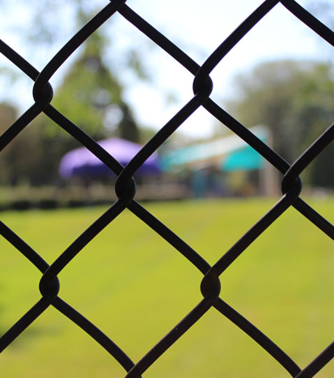 vallas Sevilla, vallas Granada, vallas Cordoba, vallas Huelva, vallas Malaga, vallas Cadiz, vallas Almeria, vallas Jaen, vallados Sevilla, vallados Granada, vallados Cordoba, vallados Huelva, vallados Malaga, vallados Cadiz, vallados Almeria, vallados Jaen, cercas Sevilla, cercas Granada, cercas Cordoba, cercas Huelva, cercas Malaga, cercas Cadiz, cercas Almeria, cercas Jaen, cercados Sevilla, cercados Granada, cercados Cordoba, cercados Huelva, cercados Malaga, cercados Cadiz, cercados Almeria, cercados Jaen, vallas de metal Sevilla, vallas de metal Granada, vallas de metal Cordoba, vallas de metal Huelva, vallas de metal Malaga, vallas de metal Cadiz, vallas de metal Almeria, vallas de metal Jaen, vallados de metal Sevilla, vallados de metal Granada, vallados de metal Cordoba, vallados de metal Huelva, vallados de metal Malaga, vallados de metal Cadiz, vallados de metal Almeria, vallados de metal Jaen, cercas de metal Sevilla, cercas de metal Granada, cercas de metal Cordoba, cercas de metal Huelva, cercas de metal Malaga, cercas de metal Cadiz, cercas de metal Almeria, cercas de metal Jaen, cercados de metal Sevilla, cercados de metal Granada, cercados de metal Cordoba, cercados de metal Huelva, cercados de metal Malaga, cercados de metal Cadiz, cercados de metal Almeria, cercados de metal Jaen, mallas Sevilla, mallas Granada, mallas Cordoba, mallas Huelva, mallas Malaga, mallas Cadiz, mallas Almeria, mallas Jaen, simple torsion Sevilla, simple torsion Granada, simple torsion Cordoba, simple torsion Huelva, simple torsion Malaga, simple torsion Cadiz, simple torsion Almeria, simple torsion Jaen, doble torsion Sevilla, doble torsion Granada, doble torsion Cordoba, doble torsion Huelva, doble torsion Malaga, doble torsion Cadiz, doble torsion Almeria, doble torsion Jaen, triple torsion Sevilla, triple torsion Granada, triple torsion Cordoba, triple torsion Huelva, triple torsion Malaga, triple torsion Cadiz, triple torsion Almeria, triple torsion Jaen, malla ganadera Sevilla, malla ganadera Granada, malla ganadera Cordoba, malla ganadera Huelva, malla ganadera Malaga, malla ganadera Cadiz, malla ganadera Almeria, malla ganadera Jaen, malla escolar Sevilla, malla escolar Granada, malla escolar Cordoba, malla escolar Huelva, malla escolar Malaga, malla escolar Cadiz, malla escolar Almeria, malla escolar Jaen, malla hercules Sevilla, malla hercules Granada, malla hercules Cordoba, malla hercules Huelva, malla hercules Malaga, malla hercules Cadiz, malla hercules Almeria, malla hercules Jaen, muros gaviones Sevilla, muros gaviones Granada, muros gaviones Cordoba, muros gaviones Huelva, muros gaviones Malaga, muros gaviones Cadiz, muros gaviones Almeria, muros gaviones Jaen, mallas taludes Sevilla, mallas taludes Granada, mallas taludes Cordoba, mallas taludes Huelva, mallas taludes Malaga, mallas taludes Cadiz, mallas taludes Almeria, mallas taludes Jaen, jardineria Sevilla, jardineria Granada, jardineria Cordoba, jardineria Huelva, jardineria Malaga, jardineria Cadiz, jardineria Almeria, jardineria Jaen, plantacion de arboles Sevilla, plantacion de arboles Granada, plantacion de arboles Cordoba, plantacion de arboles Huelva, plantacion de arboles Malaga, plantacion de arboles Cadiz, plantacion de arboles Almeria, plantacion de arboles Jaen, plantacion de arbustos Sevilla, plantacion de arbustos Granada, plantacion de arbustos Cordoba, plantacion de arbustos Huelva, plantacion de arbustos Malaga, plantacion de arbustos Cadiz, plantacion de arbustos Almeria, plantacion de arbustos Jaen, reforestacion Sevilla, reforestacion Granada, reforestacion Cordoba, reforestacion Huelva, reforestacion Malaga, reforestacion Cadiz, reforestacion Almeria, reforestacion Jaen, vallas colegios Sevilla, vallas colegios Granada, vallas colegios Cordoba, vallas colegios Huelva, vallas colegios Malaga, vallas colegios Cadiz, vallas colegios Almeria, vallas colegios Jaen, vallas escolares Sevilla, vallas escolares Granada, vallas escolares Cordoba, vallas escolares Huelva, vallas escolares Malaga, vallas escolares Cadiz, vallas escolares Almeria, vallas escolares Jaen, vallas ganaderia Sevilla, vallas ganaderia Granada, vallas ganaderia Cordoba, vallas ganaderia Huelva, vallas ganaderia Malaga, vallas ganaderia Cadiz, vallas ganaderia Almeria, vallas ganaderia Jaen, vallas hercules Sevilla, vallas hercules Granada, vallas hercules Cordoba, vallas hercules Huelva, vallas hercules Malaga, vallas hercules Cadiz, vallas hercules Almeria, vallas hercules Jaen, proteccion carreteras Sevilla, proteccion carreteras Granada, proteccion carreteras Cordoba, proteccion carreteras Huelva, proteccion carreteras Malaga, proteccion carreteras Cadiz, proteccion carreteras Almeria, proteccion carreteras Jaen, vallas de proteccion Sevilla, vallas de proteccion Granada, vallas de proteccion Cordoba, vallas de proteccion Huelva, vallas de proteccion Malaga, vallas de proteccion Cadiz, vallas de proteccion Almeria, vallas de proteccion Jaen, gaviones rios Sevilla, gaviones rios Granada, gaviones rios Cordoba, gaviones rios Huelva, gaviones rios Malaga, gaviones rios Cadiz, gaviones rios Almeria, gaviones rios Jaen, gaviones carreteras Sevilla, gaviones carreteras Granada, gaviones carreteras Cordoba, gaviones carreteras Huelva, gaviones carreteras Malaga, gaviones carreteras Cadiz, gaviones carreteras Almeria, gaviones carreteras Jaen, vallados y cercados Sevilla, vallados y cercados Granada, vallados y cercados Cordoba, vallados y cercados Huelva, vallados y cercados Malaga, vallados y cercados Cadiz, vallados y cercados Almeria, vallados y cercados Jaen, plantaciones el tejo, vallados andalucia, jardineria, plantacion de arboles, cuidado de jardines, diseño de jardines, plantacion de arbustos