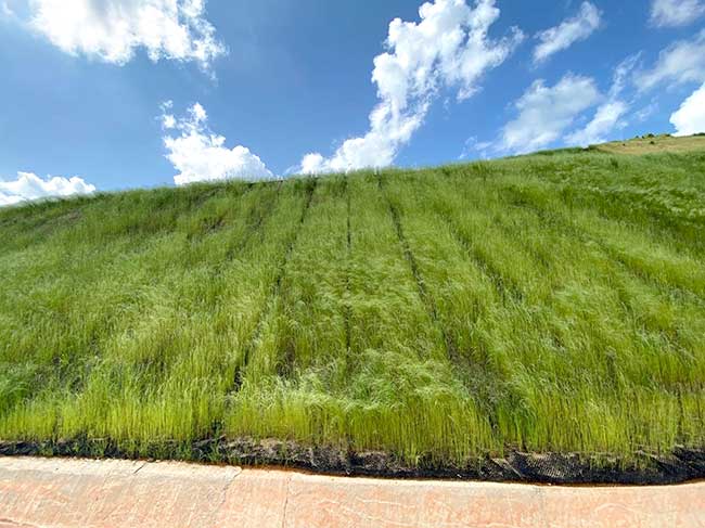 vallas Sevilla, vallas Granada, vallas Cordoba, vallas Huelva, vallas Malaga, vallas Cadiz, vallas Almeria, vallas Jaen, vallados Sevilla, vallados Granada, vallados Cordoba, vallados Huelva, vallados Malaga, vallados Cadiz, vallados Almeria, vallados Jaen, cercas Sevilla, cercas Granada, cercas Cordoba, cercas Huelva, cercas Malaga, cercas Cadiz, cercas Almeria, cercas Jaen, cercados Sevilla, cercados Granada, cercados Cordoba, cercados Huelva, cercados Malaga, cercados Cadiz, cercados Almeria, cercados Jaen, vallas de metal Sevilla, vallas de metal Granada, vallas de metal Cordoba, vallas de metal Huelva, vallas de metal Malaga, vallas de metal Cadiz, vallas de metal Almeria, vallas de metal Jaen, vallados de metal Sevilla, vallados de metal Granada, vallados de metal Cordoba, vallados de metal Huelva, vallados de metal Malaga, vallados de metal Cadiz, vallados de metal Almeria, vallados de metal Jaen, cercas de metal Sevilla, cercas de metal Granada, cercas de metal Cordoba, cercas de metal Huelva, cercas de metal Malaga, cercas de metal Cadiz, cercas de metal Almeria, cercas de metal Jaen, cercados de metal Sevilla, cercados de metal Granada, cercados de metal Cordoba, cercados de metal Huelva, cercados de metal Malaga, cercados de metal Cadiz, cercados de metal Almeria, cercados de metal Jaen, mallas Sevilla, mallas Granada, mallas Cordoba, mallas Huelva, mallas Malaga, mallas Cadiz, mallas Almeria, mallas Jaen, simple torsion Sevilla, simple torsion Granada, simple torsion Cordoba, simple torsion Huelva, simple torsion Malaga, simple torsion Cadiz, simple torsion Almeria, simple torsion Jaen, doble torsion Sevilla, doble torsion Granada, doble torsion Cordoba, doble torsion Huelva, doble torsion Malaga, doble torsion Cadiz, doble torsion Almeria, doble torsion Jaen, triple torsion Sevilla, triple torsion Granada, triple torsion Cordoba, triple torsion Huelva, triple torsion Malaga, triple torsion Cadiz, triple torsion Almeria, triple torsion Jaen, malla ganadera Sevilla, malla ganadera Granada, malla ganadera Cordoba, malla ganadera Huelva, malla ganadera Malaga, malla ganadera Cadiz, malla ganadera Almeria, malla ganadera Jaen, malla escolar Sevilla, malla escolar Granada, malla escolar Cordoba, malla escolar Huelva, malla escolar Malaga, malla escolar Cadiz, malla escolar Almeria, malla escolar Jaen, malla hercules Sevilla, malla hercules Granada, malla hercules Cordoba, malla hercules Huelva, malla hercules Malaga, malla hercules Cadiz, malla hercules Almeria, malla hercules Jaen, muros gaviones Sevilla, muros gaviones Granada, muros gaviones Cordoba, muros gaviones Huelva, muros gaviones Malaga, muros gaviones Cadiz, muros gaviones Almeria, muros gaviones Jaen, mallas taludes Sevilla, mallas taludes Granada, mallas taludes Cordoba, mallas taludes Huelva, mallas taludes Malaga, mallas taludes Cadiz, mallas taludes Almeria, mallas taludes Jaen, jardineria Sevilla, jardineria Granada, jardineria Cordoba, jardineria Huelva, jardineria Malaga, jardineria Cadiz, jardineria Almeria, jardineria Jaen, plantacion de arboles Sevilla, plantacion de arboles Granada, plantacion de arboles Cordoba, plantacion de arboles Huelva, plantacion de arboles Malaga, plantacion de arboles Cadiz, plantacion de arboles Almeria, plantacion de arboles Jaen, plantacion de arbustos Sevilla, plantacion de arbustos Granada, plantacion de arbustos Cordoba, plantacion de arbustos Huelva, plantacion de arbustos Malaga, plantacion de arbustos Cadiz, plantacion de arbustos Almeria, plantacion de arbustos Jaen, reforestacion Sevilla, reforestacion Granada, reforestacion Cordoba, reforestacion Huelva, reforestacion Malaga, reforestacion Cadiz, reforestacion Almeria, reforestacion Jaen, vallas colegios Sevilla, vallas colegios Granada, vallas colegios Cordoba, vallas colegios Huelva, vallas colegios Malaga, vallas colegios Cadiz, vallas colegios Almeria, vallas colegios Jaen, vallas escolares Sevilla, vallas escolares Granada, vallas escolares Cordoba, vallas escolares Huelva, vallas escolares Malaga, vallas escolares Cadiz, vallas escolares Almeria, vallas escolares Jaen, vallas ganaderia Sevilla, vallas ganaderia Granada, vallas ganaderia Cordoba, vallas ganaderia Huelva, vallas ganaderia Malaga, vallas ganaderia Cadiz, vallas ganaderia Almeria, vallas ganaderia Jaen, vallas hercules Sevilla, vallas hercules Granada, vallas hercules Cordoba, vallas hercules Huelva, vallas hercules Malaga, vallas hercules Cadiz, vallas hercules Almeria, vallas hercules Jaen, proteccion carreteras Sevilla, proteccion carreteras Granada, proteccion carreteras Cordoba, proteccion carreteras Huelva, proteccion carreteras Malaga, proteccion carreteras Cadiz, proteccion carreteras Almeria, proteccion carreteras Jaen, vallas de proteccion Sevilla, vallas de proteccion Granada, vallas de proteccion Cordoba, vallas de proteccion Huelva, vallas de proteccion Malaga, vallas de proteccion Cadiz, vallas de proteccion Almeria, vallas de proteccion Jaen, gaviones rios Sevilla, gaviones rios Granada, gaviones rios Cordoba, gaviones rios Huelva, gaviones rios Malaga, gaviones rios Cadiz, gaviones rios Almeria, gaviones rios Jaen, gaviones carreteras Sevilla, gaviones carreteras Granada, gaviones carreteras Cordoba, gaviones carreteras Huelva, gaviones carreteras Malaga, gaviones carreteras Cadiz, gaviones carreteras Almeria, gaviones carreteras Jaen, vallados y cercados Sevilla, vallados y cercados Granada, vallados y cercados Cordoba, vallados y cercados Huelva, vallados y cercados Malaga, vallados y cercados Cadiz, vallados y cercados Almeria, vallados y cercados Jaen, plantaciones el tejo, vallados andalucia, jardineria, plantacion de arboles, cuidado de jardines, diseño de jardines, plantacion de arbustos, proteccion taludes